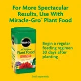 Miracle-Gro Potting Mix, For Container Plants, Flowers, Shrubs, 1 cu. ft.
