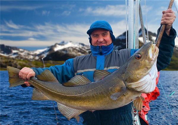 5-piece Set 13g 10cm Top Pencil Spinning Tail Hard Bait Freshwater Sea Bass Trout Lure