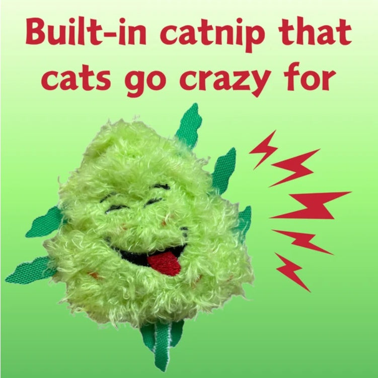 My Name Is Bud Jr, Funny Catnip Weed Nug Cat Toy, Cute Stuffed Parody Pot Nug, Cool Plush 420 Novelty Gift For Cats, Kittens & Their Owners, For Play  A Photo Prop