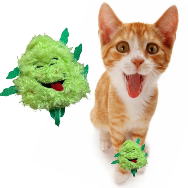 My Name Is Bud Jr, Funny Catnip Weed Nug Cat Toy, Cute Stuffed Parody Pot Nug, Cool Plush 420 Novelty Gift For Cats, Kittens & Their Owners, For Play  A Photo Prop