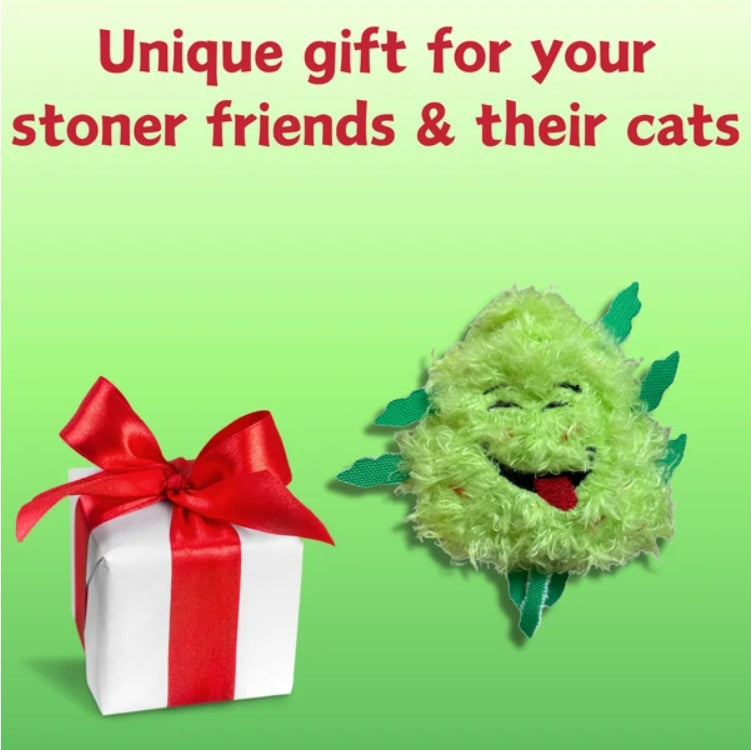 My Name Is Bud Jr, Funny Catnip Weed Nug Cat Toy, Cute Stuffed Parody Pot Nug, Cool Plush 420 Novelty Gift For Cats, Kittens & Their Owners, For Play  A Photo Prop