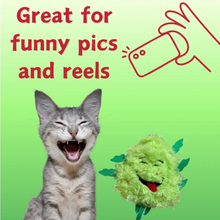 My Name Is Bud Jr, Funny Catnip Weed Nug Cat Toy, Cute Stuffed Parody Pot Nug, Cool Plush 420 Novelty Gift For Cats, Kittens & Their Owners, For Play  A Photo Prop